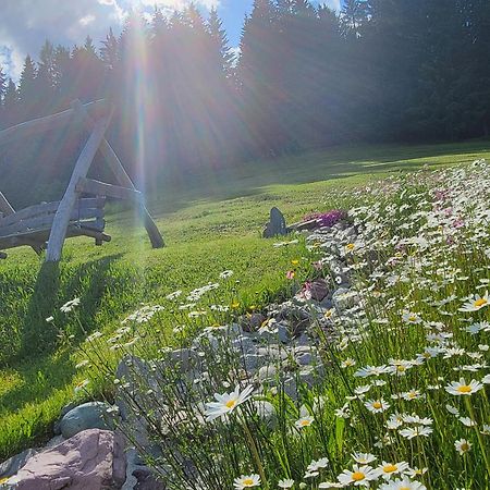 Ferienhof Obertenn Hochfilzen Extérieur photo