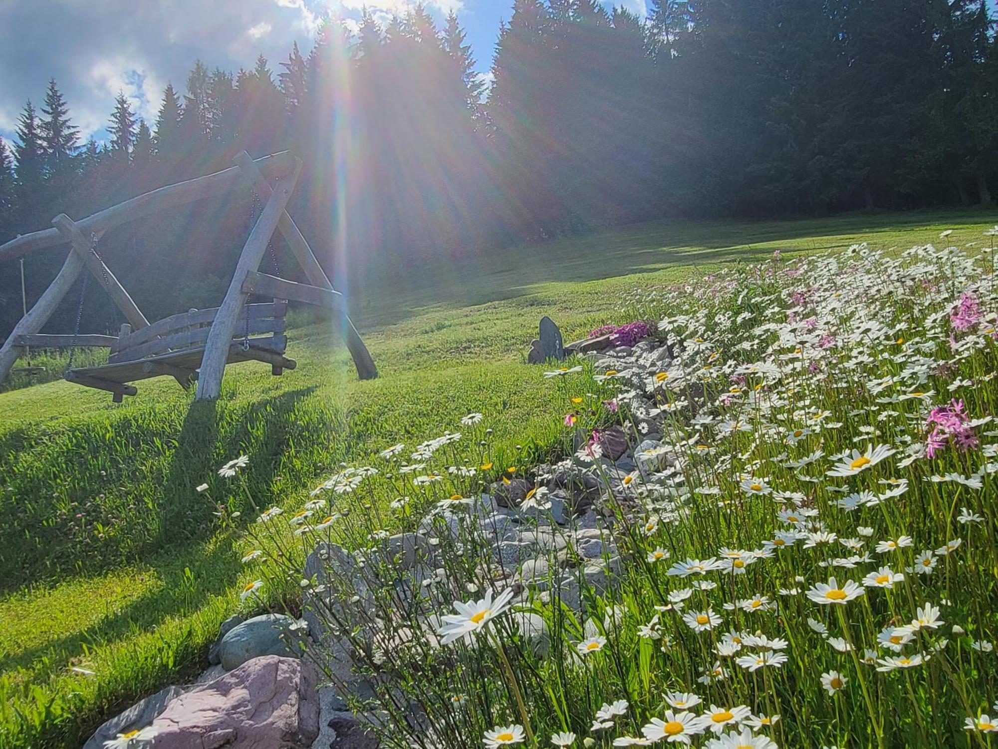 Ferienhof Obertenn Hochfilzen Extérieur photo