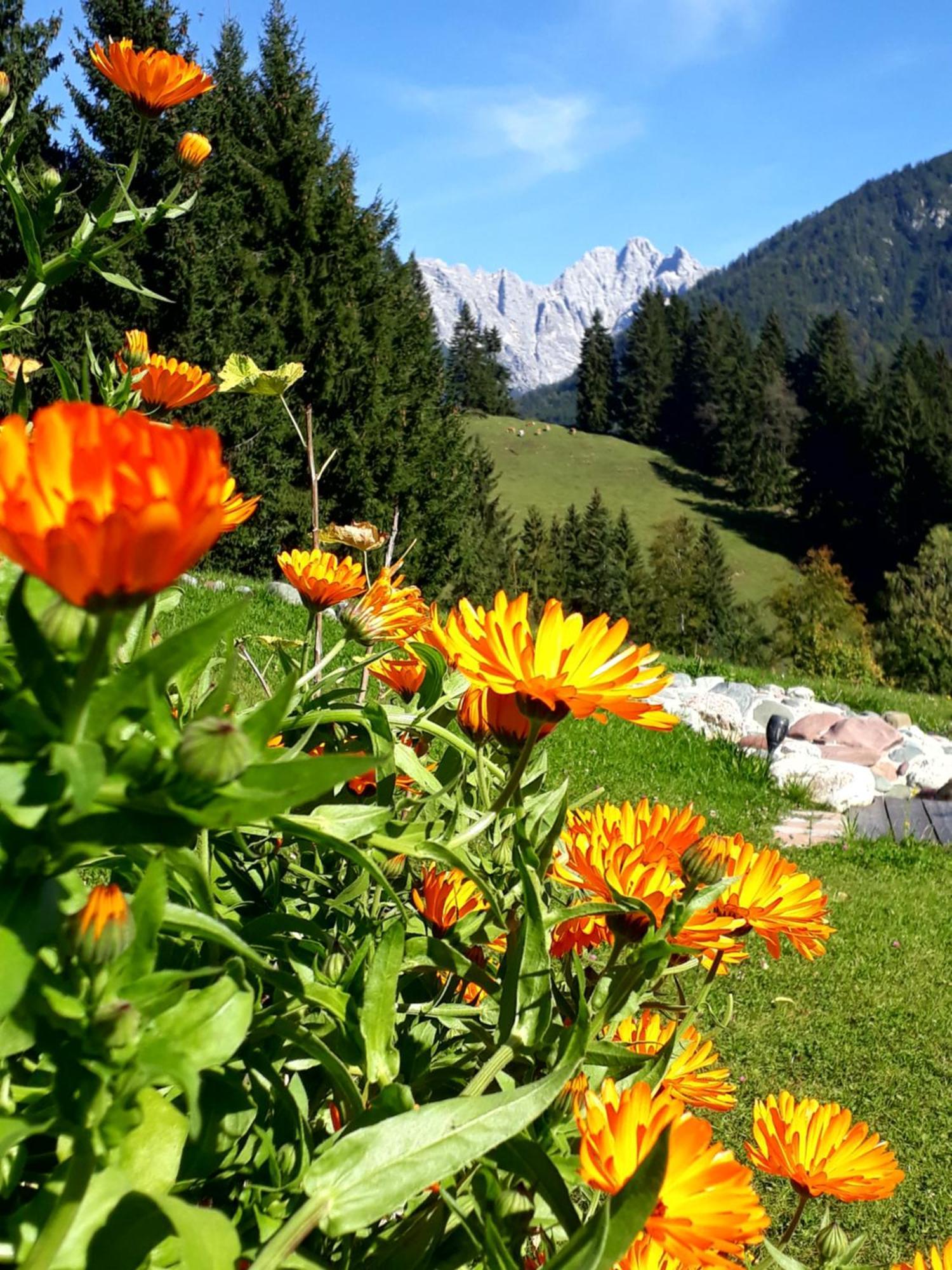 Ferienhof Obertenn Hochfilzen Extérieur photo